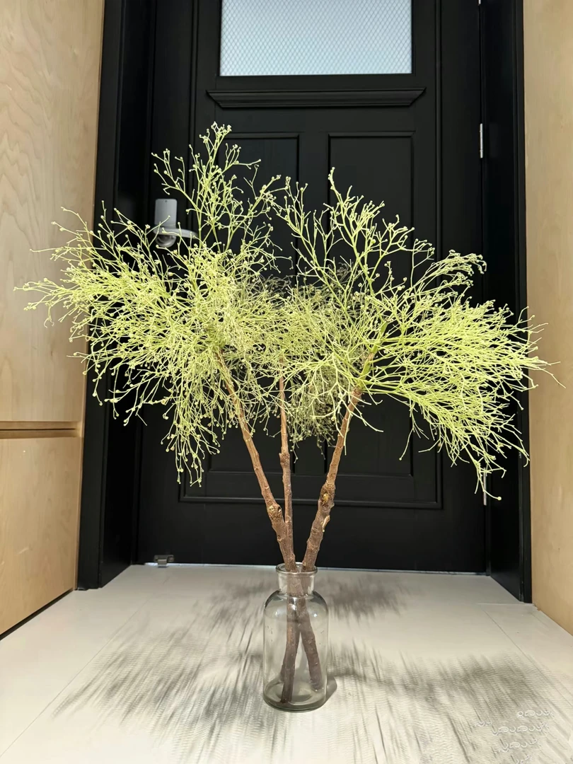 真的鲜花柔丝  瓶插花家居搭配观赏可做干花水养品质好