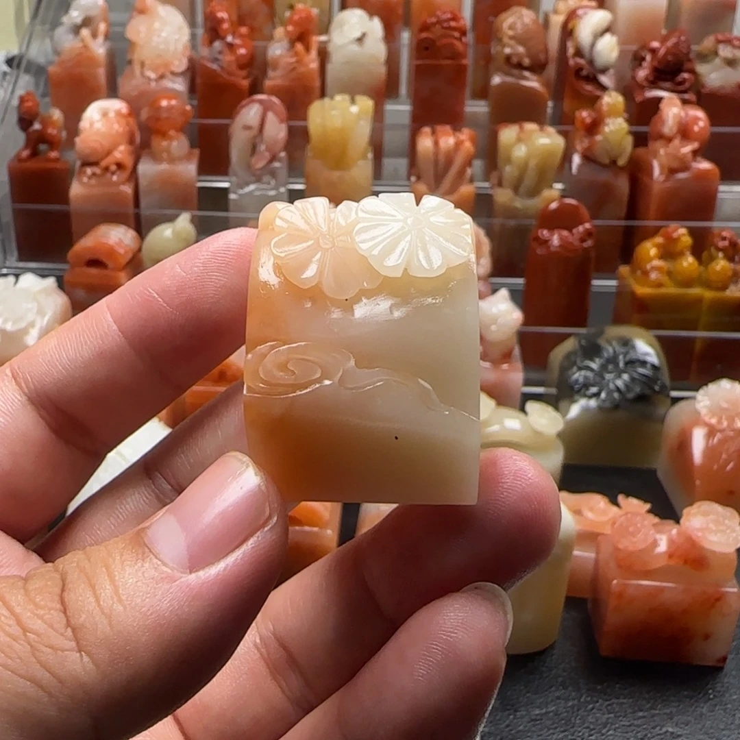 老挝石幸运草   2.6×2.7