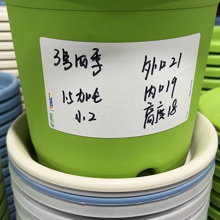 特价3号四季口21高18果绿色10个无托