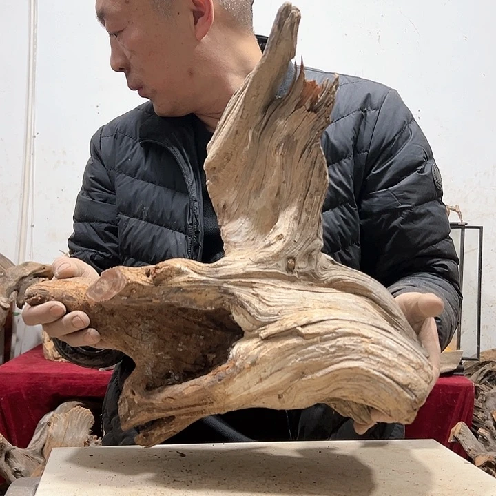 柏木九****)我们都是好孩子啊哈