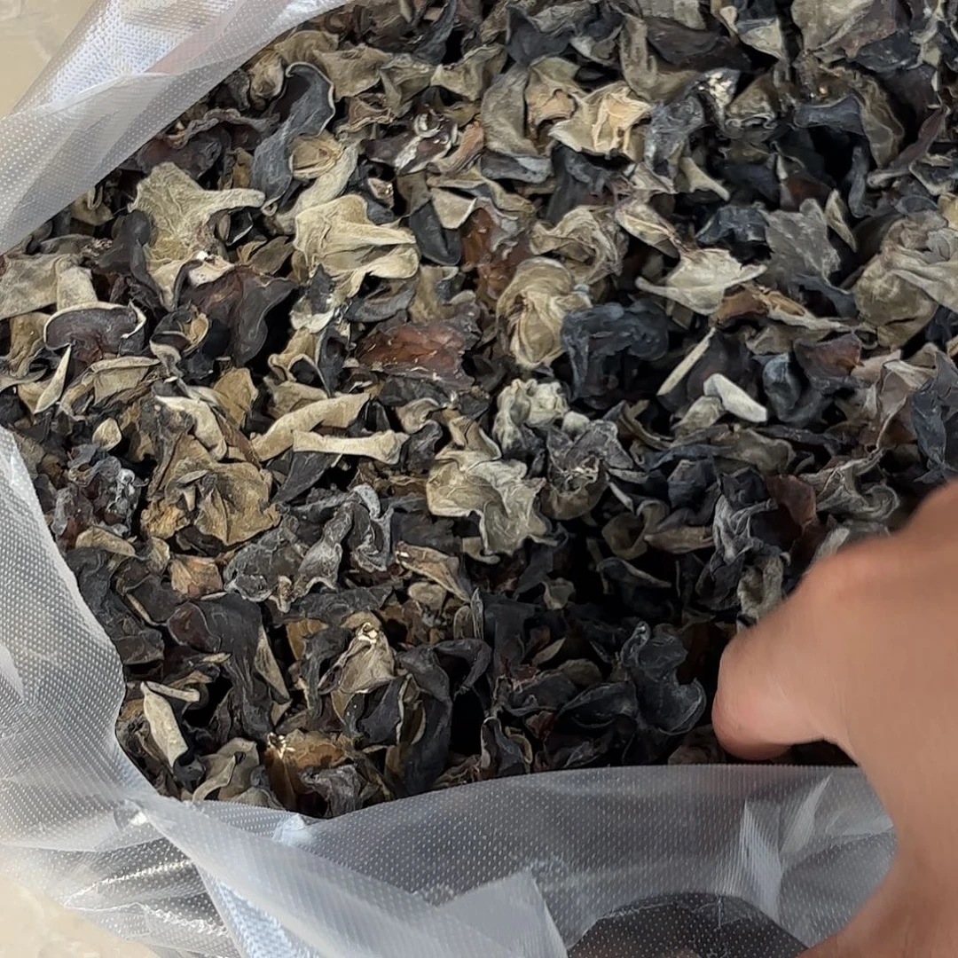 今***么云南南华野生菌中国大陆