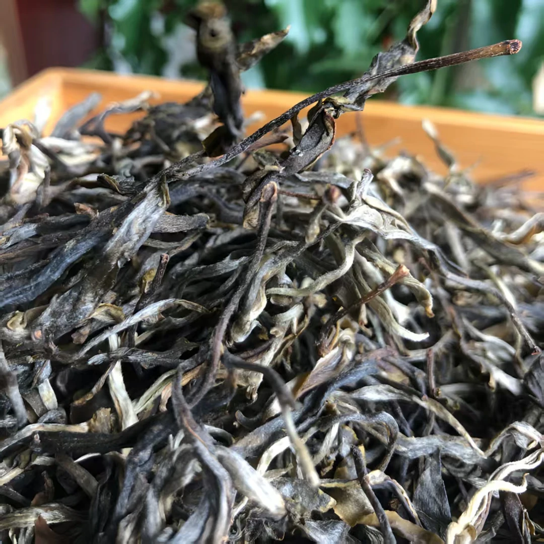 【雪山高杆100克饼】头春头采