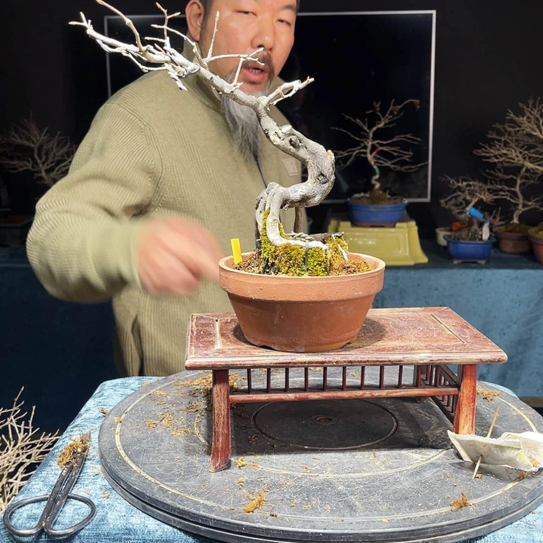 【闪购商品】老鸦柿邵*750