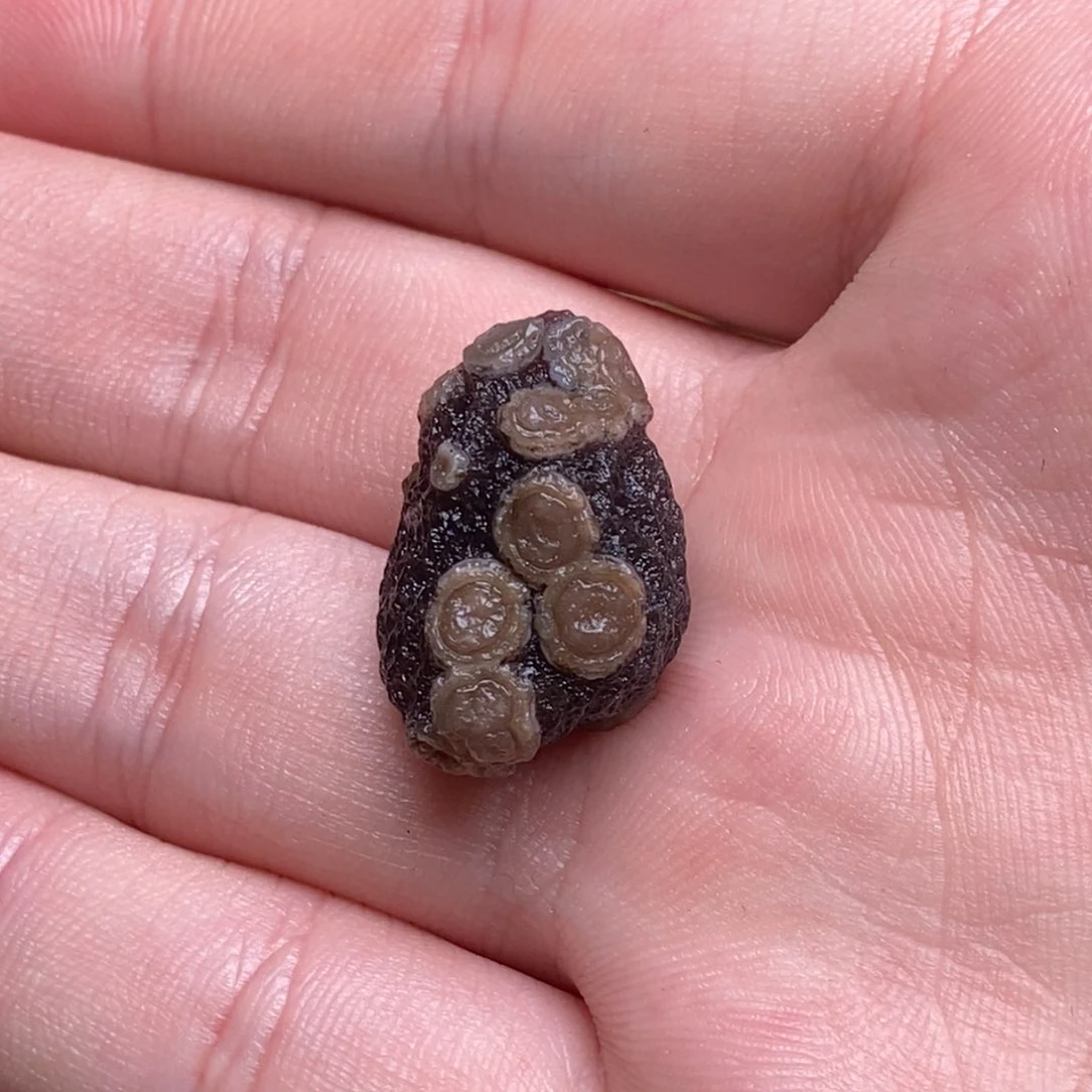 李*白阿拉善戈壁创意饰品