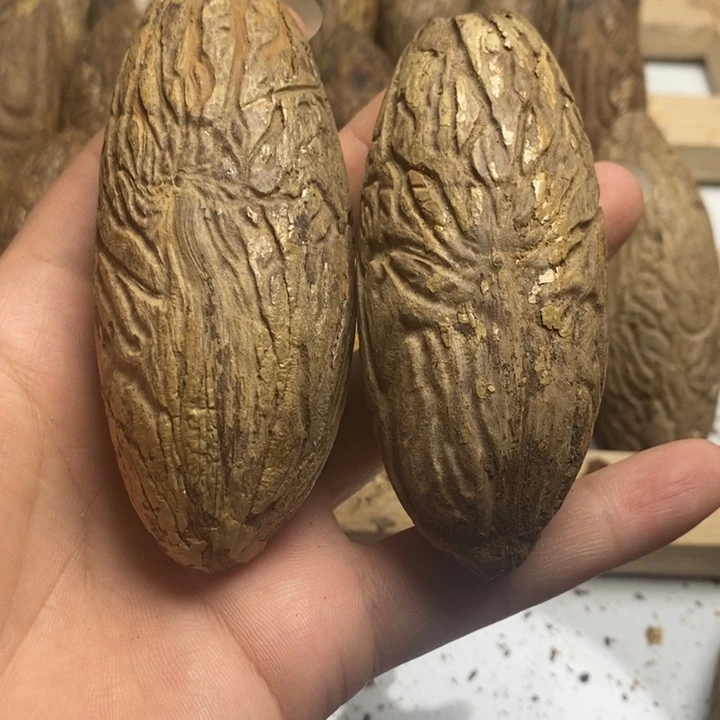 守***望把件千眼菩提菩提