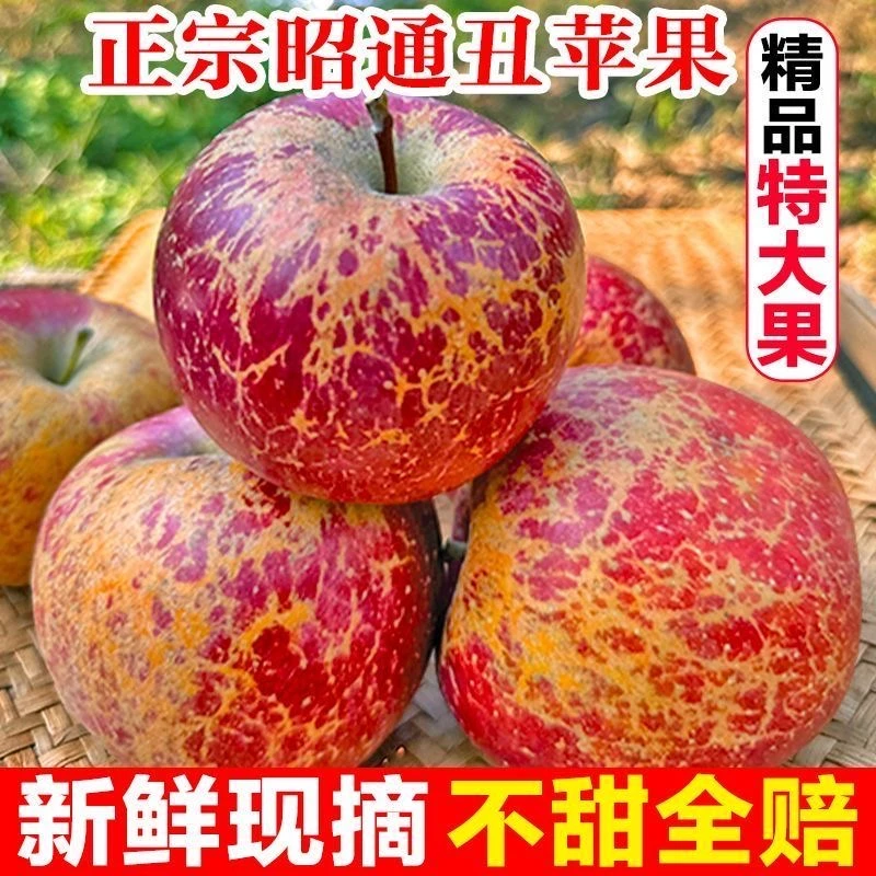 2025云南昭通红露丑苹果头茬鲜果产地直发高山红露苹果孕妇小孩