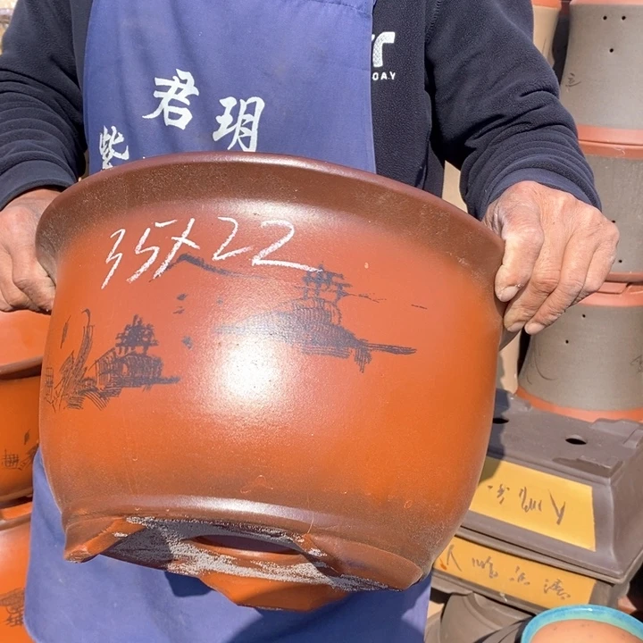 紫砂花盆盆栽花卉苗木种植