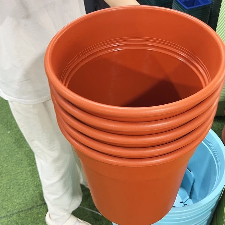 特价翻边口32高35陶红无托5只