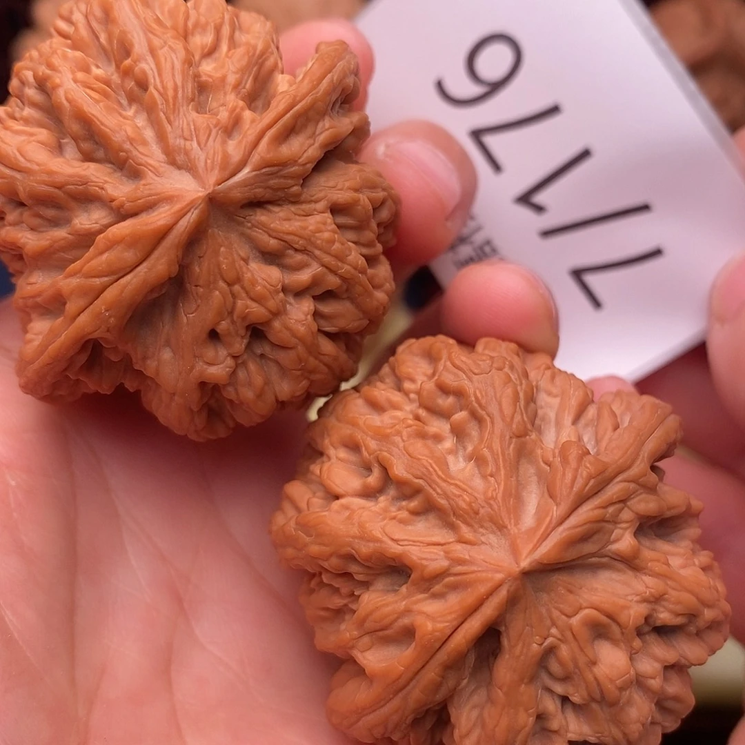 文玩核桃把件47粗筋水晶皮