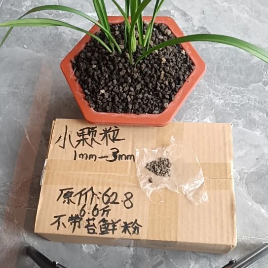 真***待兰菌黑山土小颗粒6.6斤