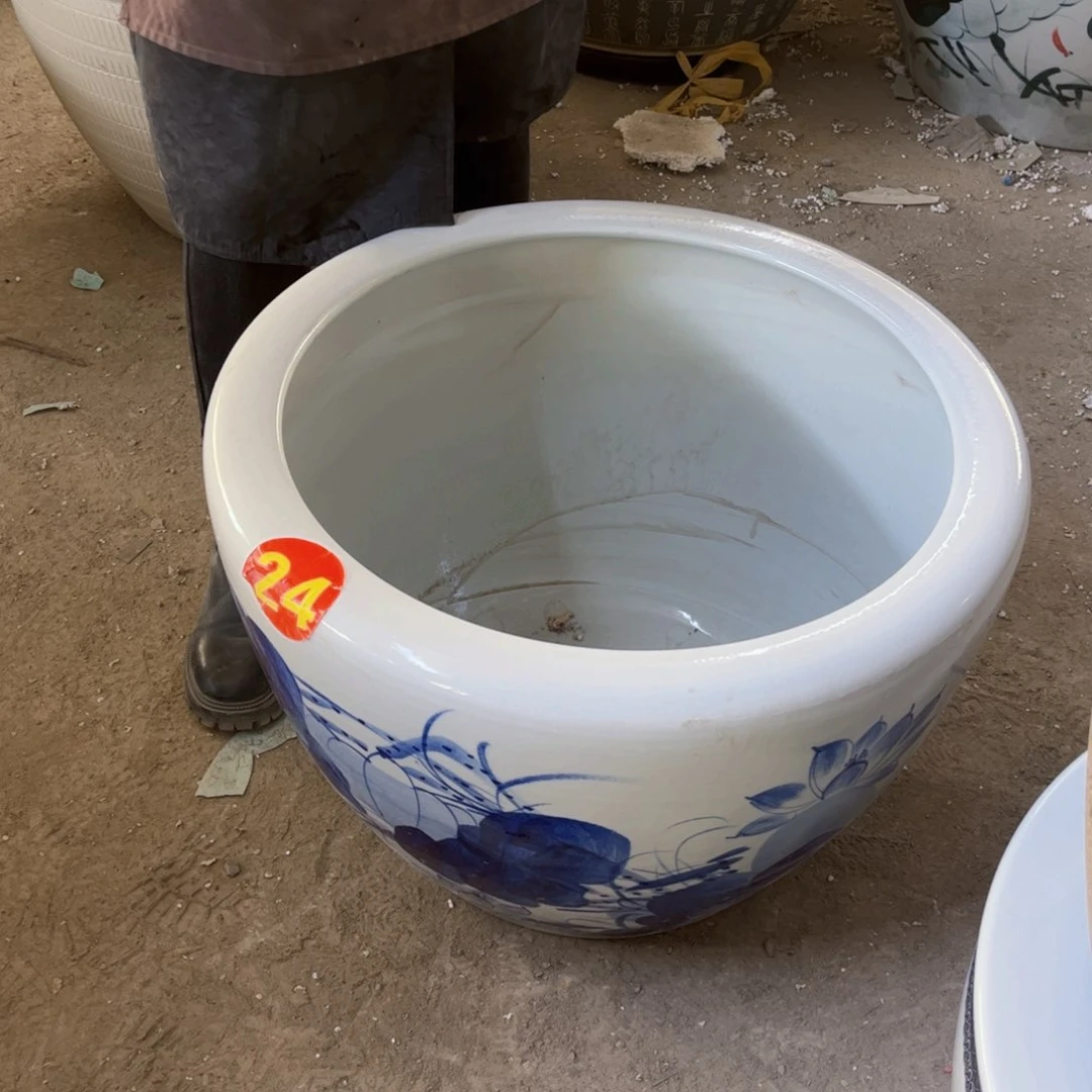 瓷片兰荷花60全8888888880