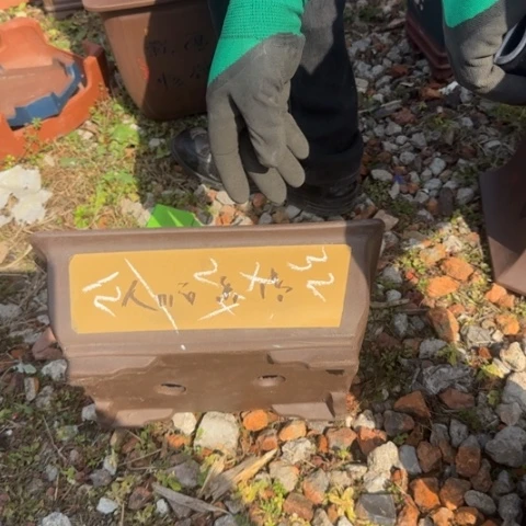 紫砂花盆紫砂花盆盆盆景盆栽瑕疵