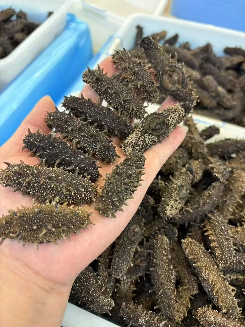 【国标特级纯淡干】500g
