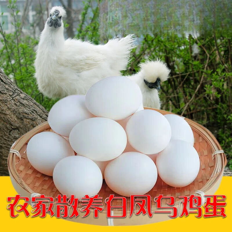 （1）50枚大个散养白凤乌鸡蛋农家谷物喂养 营养 鸡蛋老人小孩孕妈