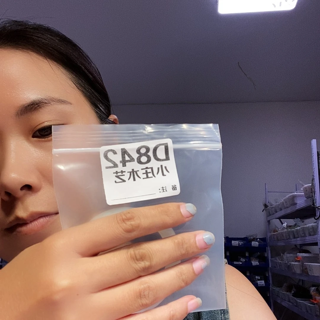 【闪购商品】昔**来黑檀木，风车木842