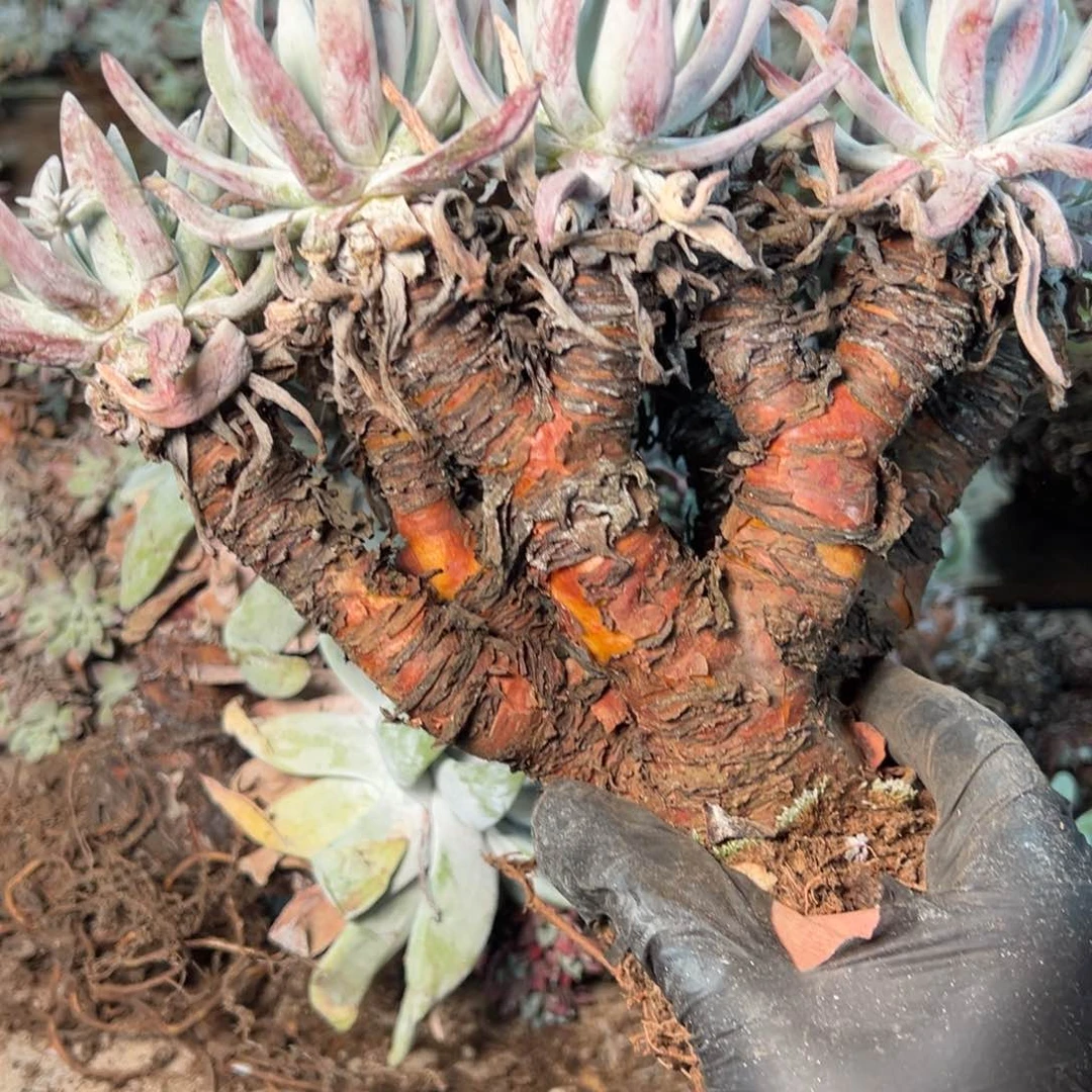 8731哈哈哈哈哈哈哈