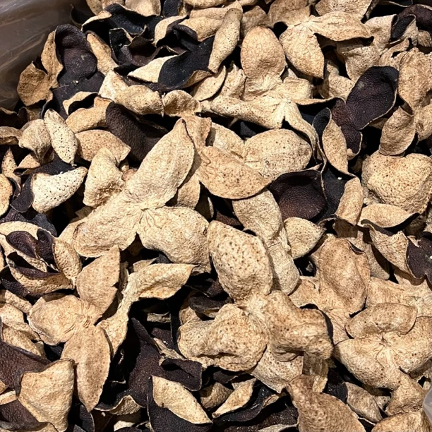 2015年新会陈皮干仓皮大红皮 主打一个性价比