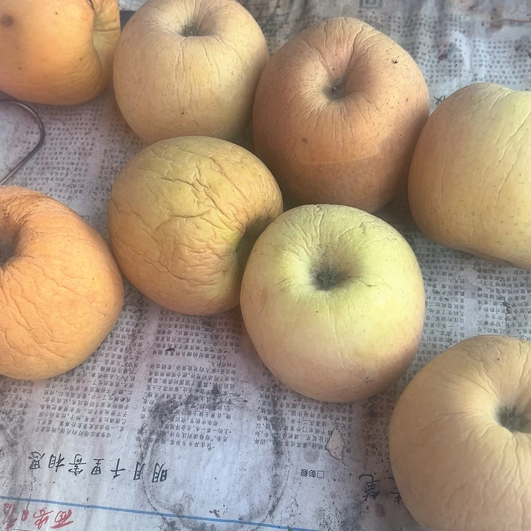 金冠苹果皱巴巴的富士苹果