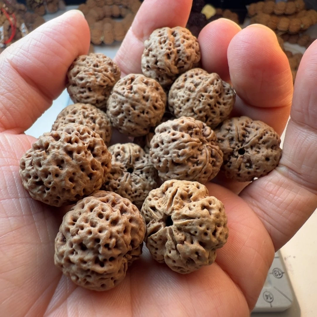 金刚菩提吊坠5瓣23飓肉蜂王