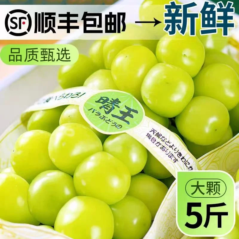 阳光玫瑰葡萄新鲜水果5斤大果晴王葡萄青提当季整箱顺丰