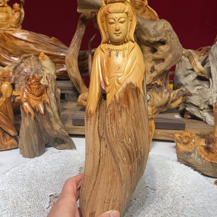 柏木（崖柏）888888888