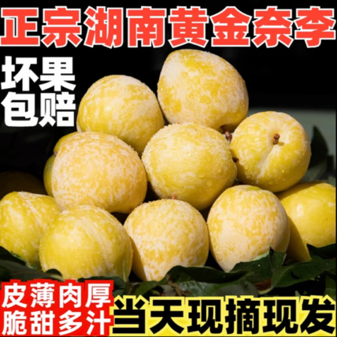 湖南文明正宗黄金奈李 冰糖李蜂糖李奈李新鲜应季水果包邮