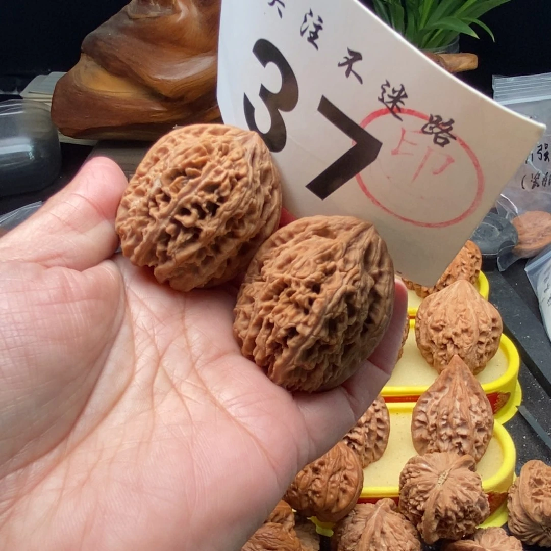 把件文玩核桃37九龙筋