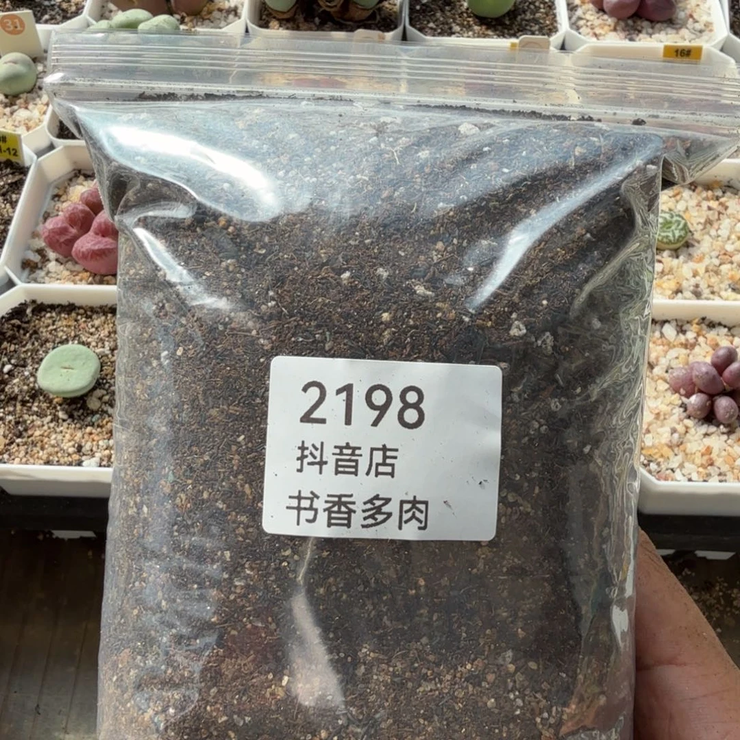 蕉****多肉。
