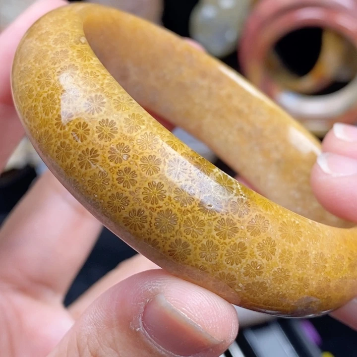 未镶嵌手镯硅化玉