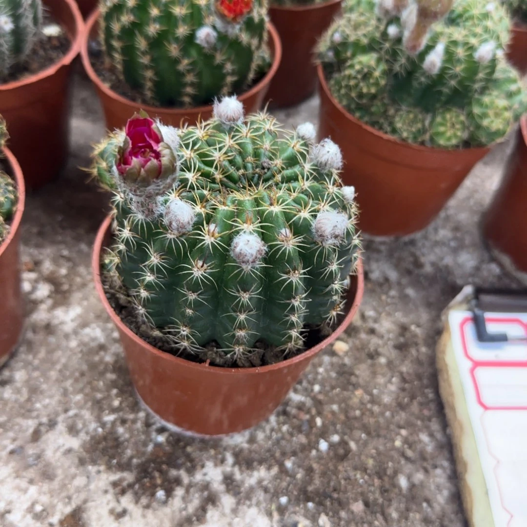 梁****师哈哈哈哈哈哈