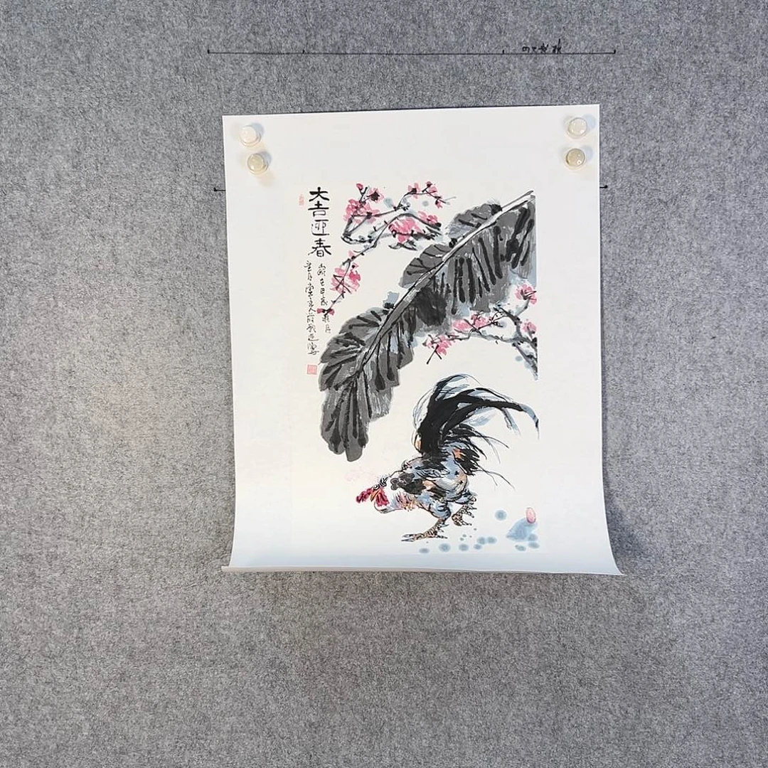 国画559 牡丹等植物资源优势显著突出