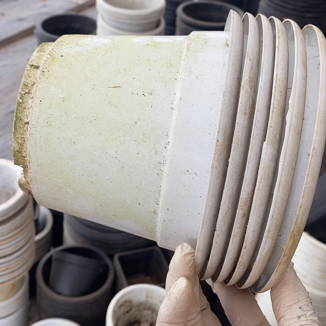 塑料旧16公分白圆盆加厚15个