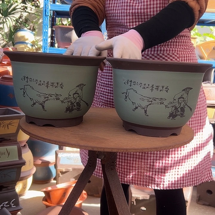 25+25绿放牛娃平角金钟花盆