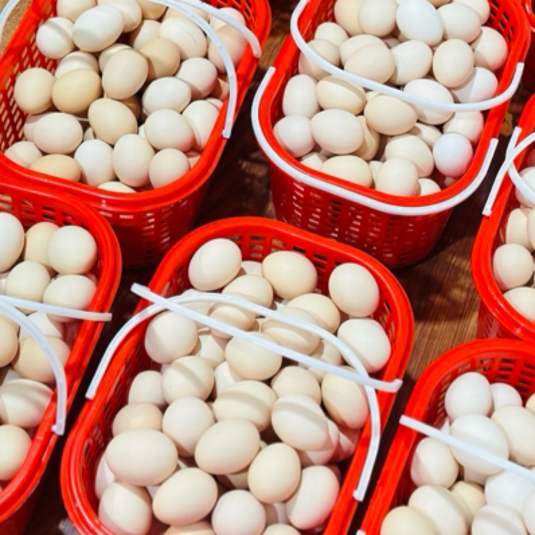 【依号仓库】【镇店之宝】正宗 土鸡蛋一蓝90个 吃过都是回头客