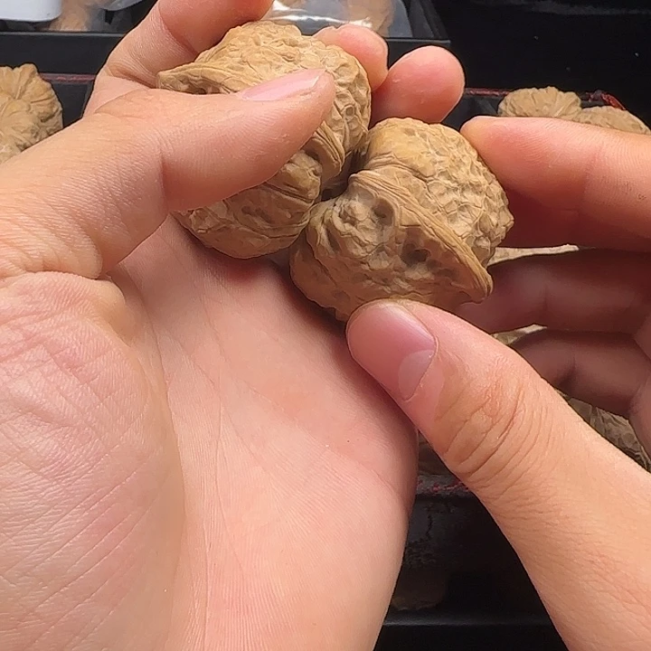 开***案龙脊菩提吊坠啊啊啊啊啊啊啊啊南瓜10