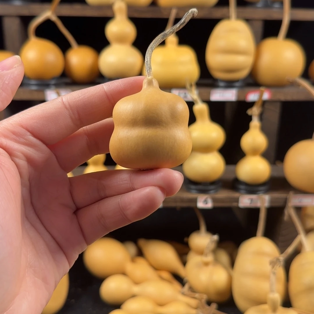 期***待葫芦葫芦葫芦葫芦葫芦