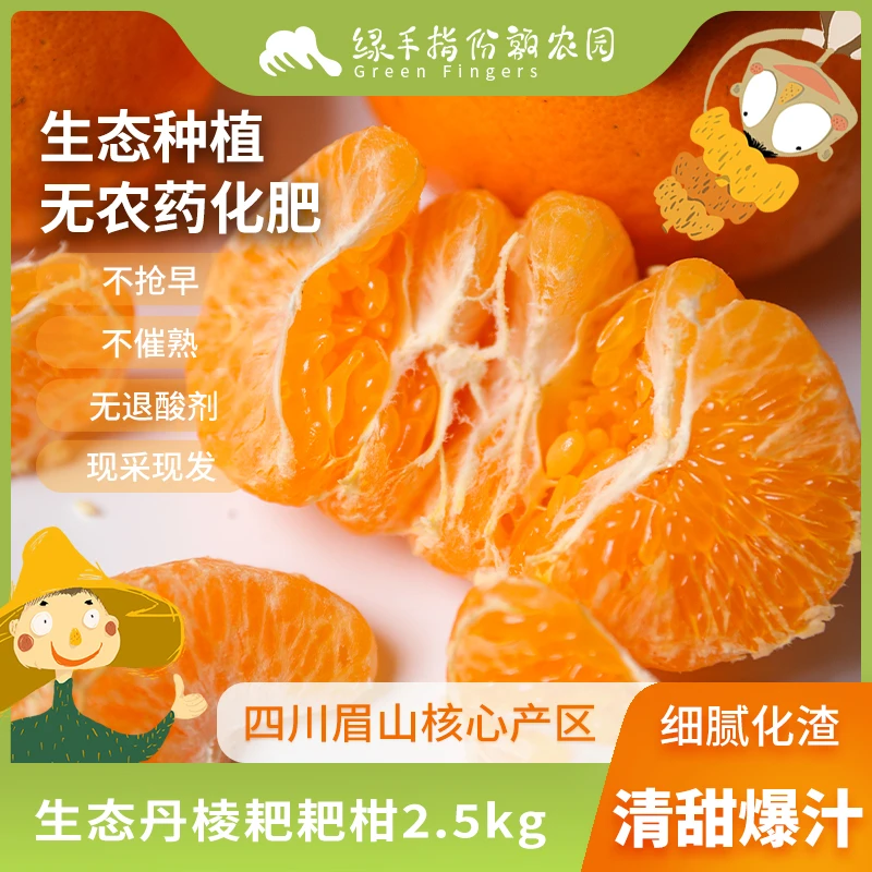 生态丹棱耙耙柑春见 2.5kg 绿手指份额农园