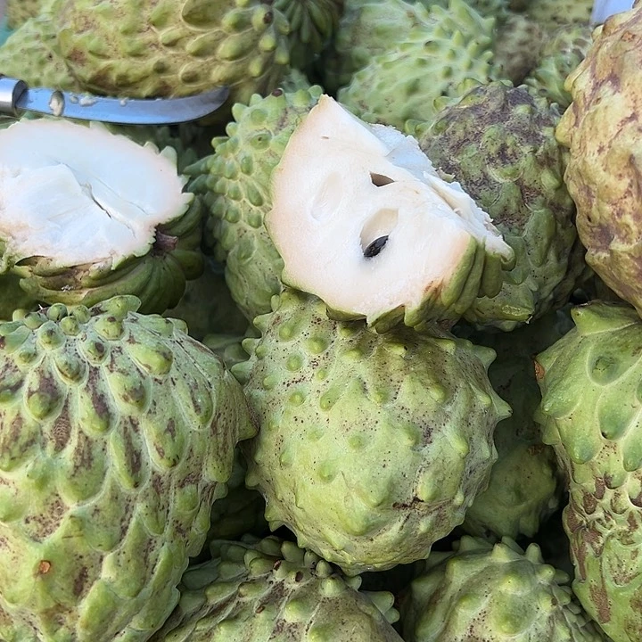 中国大陆释迦果5斤