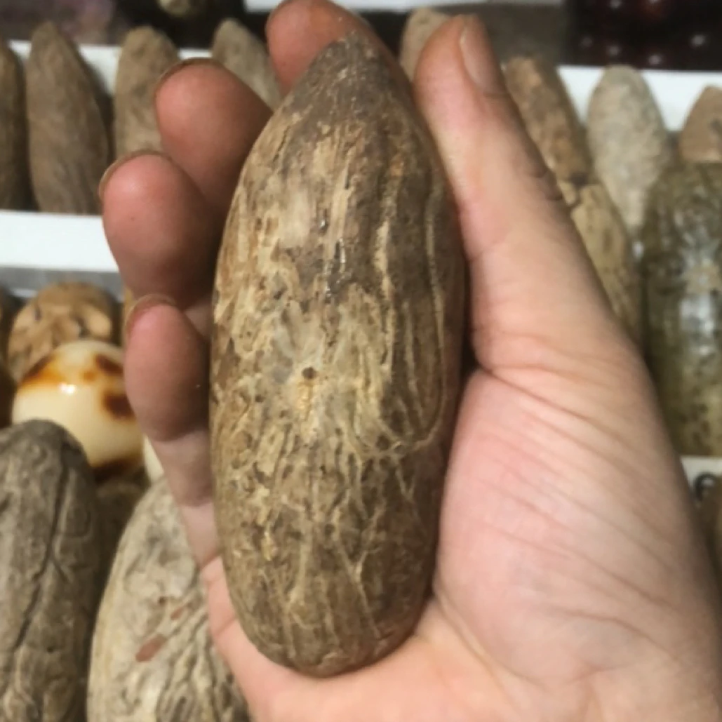 天然千眼菩提巨无霸4.0-10.0收藏把玩