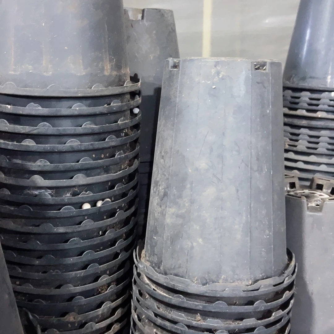 花边兰花万象盆14.5口径16高 15个