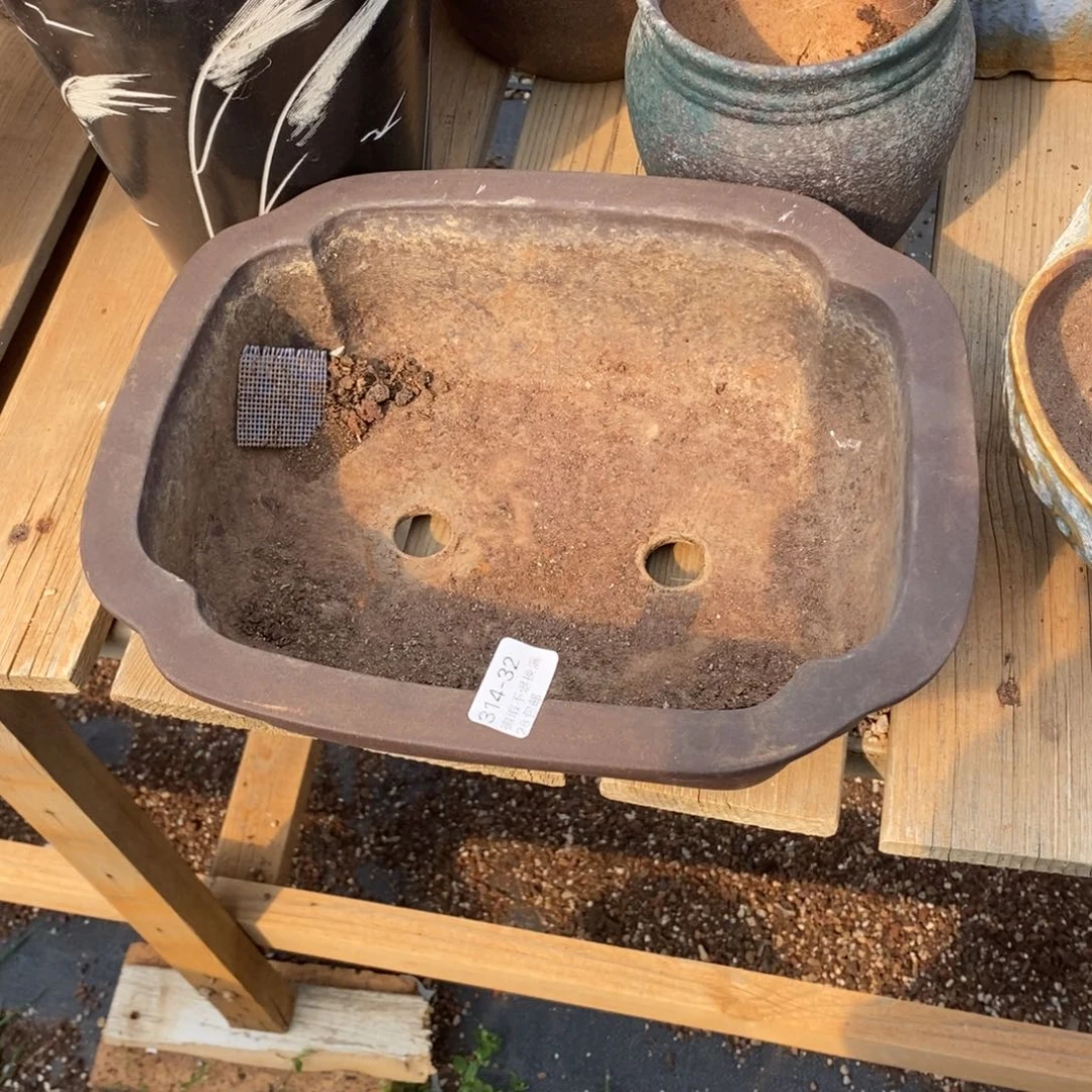 滋*32号多肉盆一个