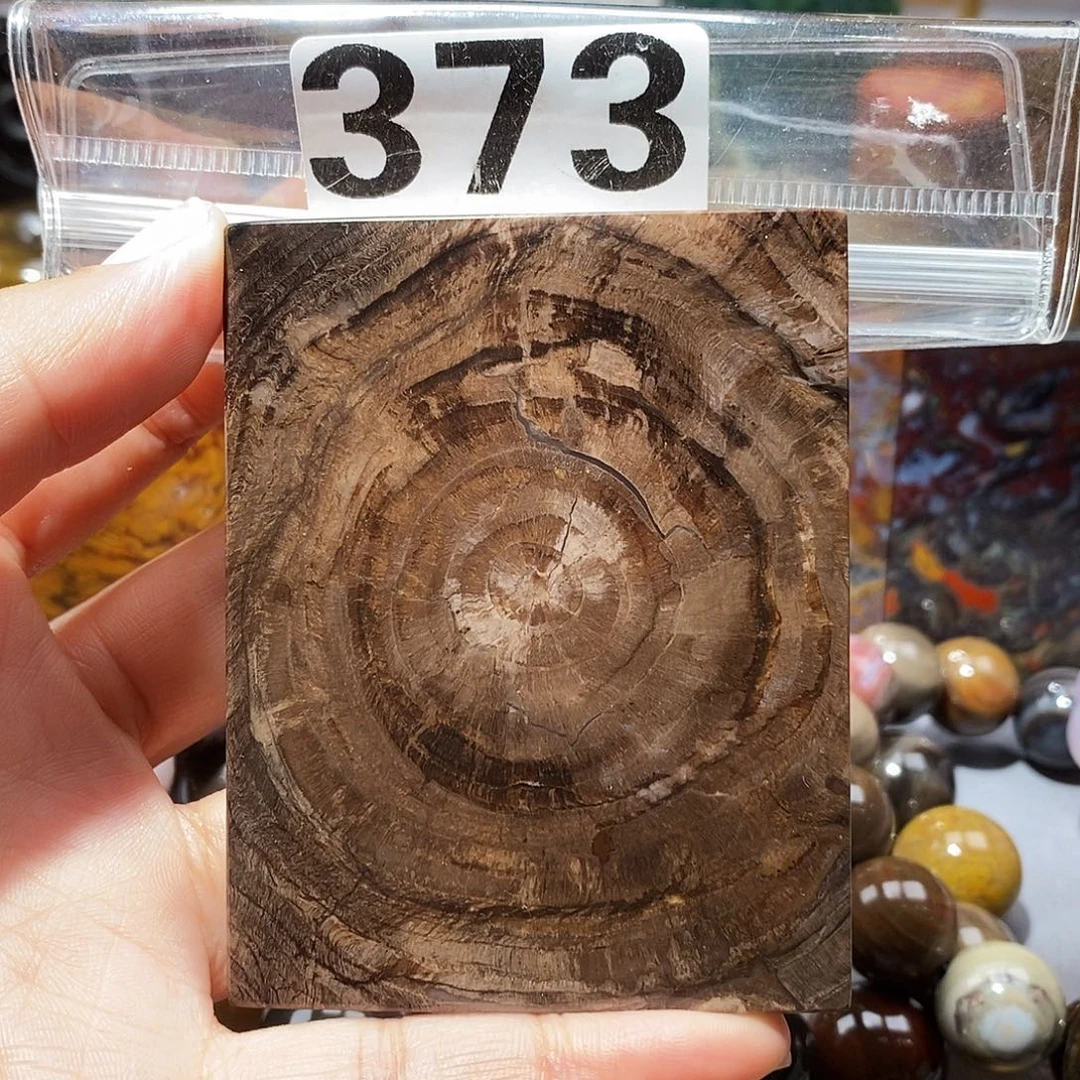 硅化玉未镶嵌天然北票硅化玉吊坠