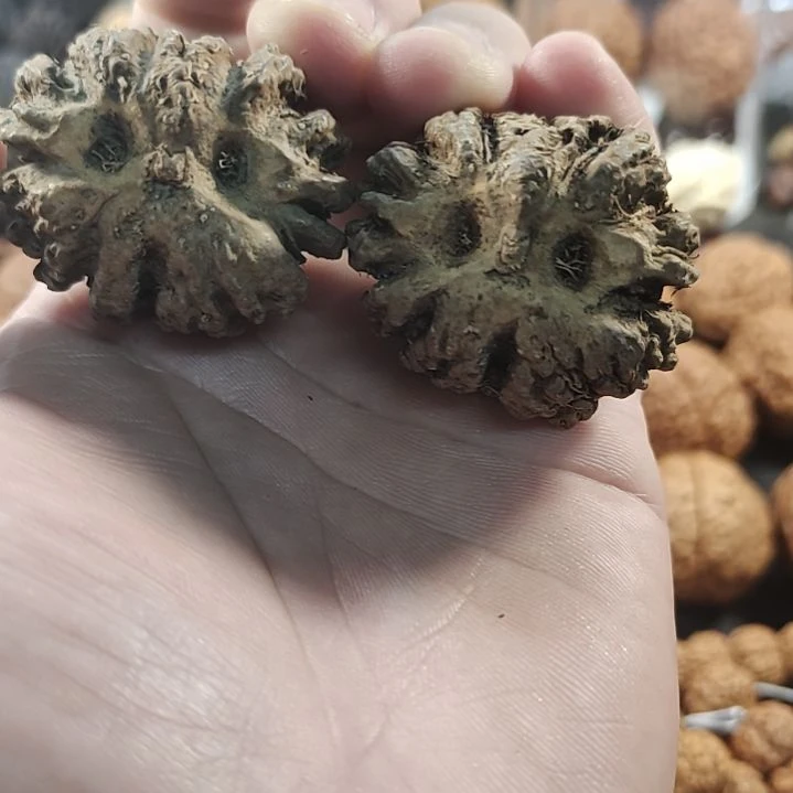 文玩核桃吊坠印尼异形核桃练手对