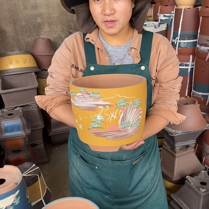 紫砂花盆盆栽花卉苗木种植