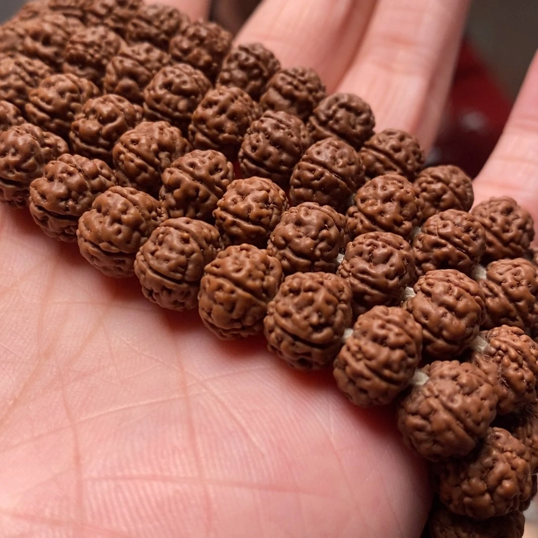 大***！菩提籽类老树王长串