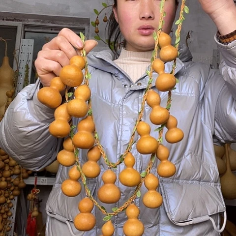 天然植物葫芦文玩