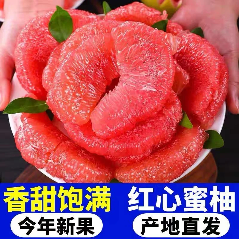 福建【爆甜老树果】红心蜜柚福建平和新鲜应当季时令季水果红肉蜜柚