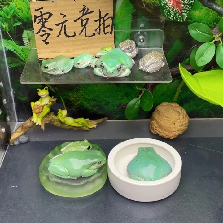 艺***家老爷树蛙福袋没有售后