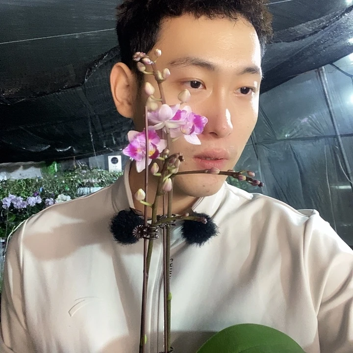 无花朵蜡笔小新蝴蝶兰