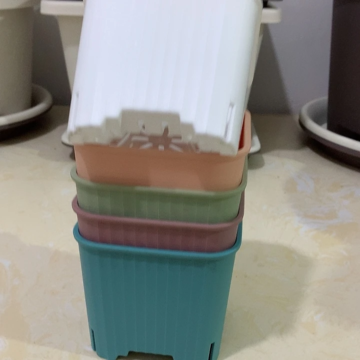 方口10混色10个无托